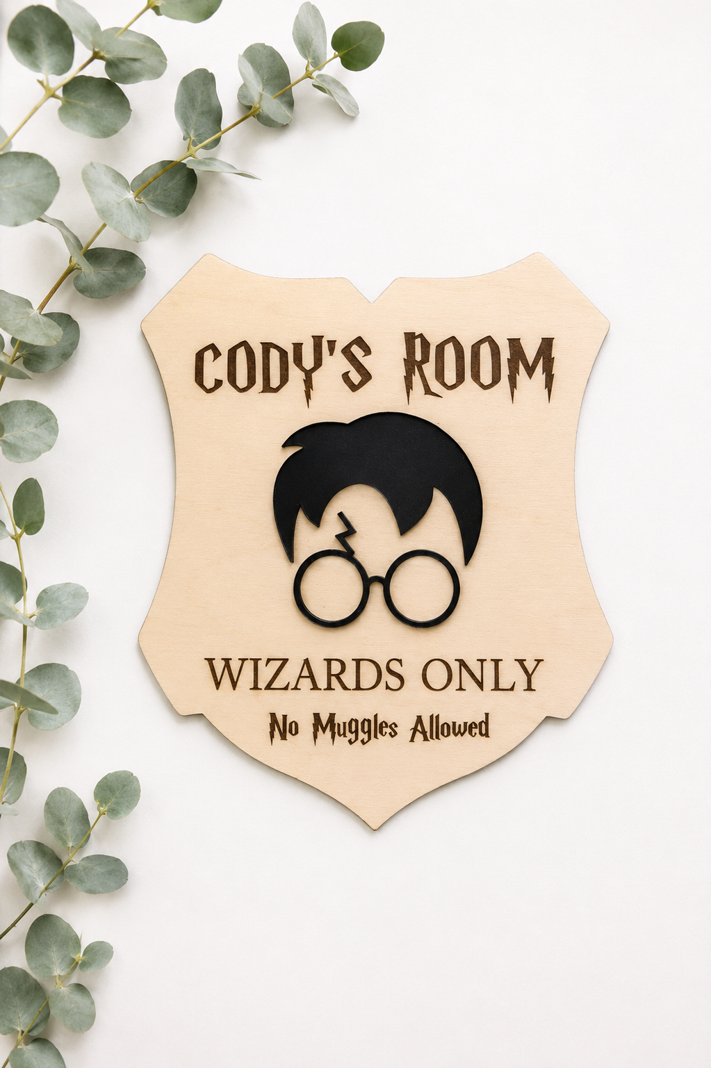 Wizard Bedroom Door Sign